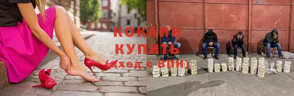 прущие крисы Белокуриха