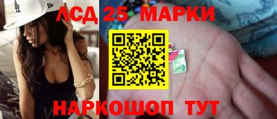 дмт Гатчина