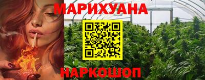 гашик Гай