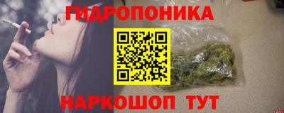 гашик Гай