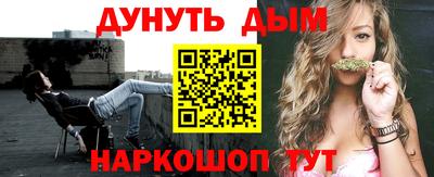 дмт Гатчина