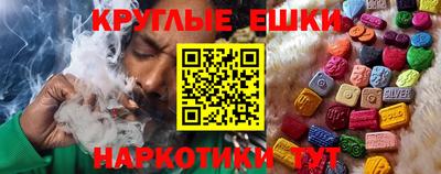 гашик Гай