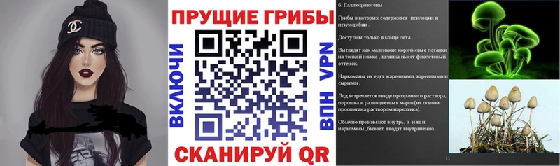 Псилоцибиновые грибы MAGIC MUSHROOMS  Сегежа 
