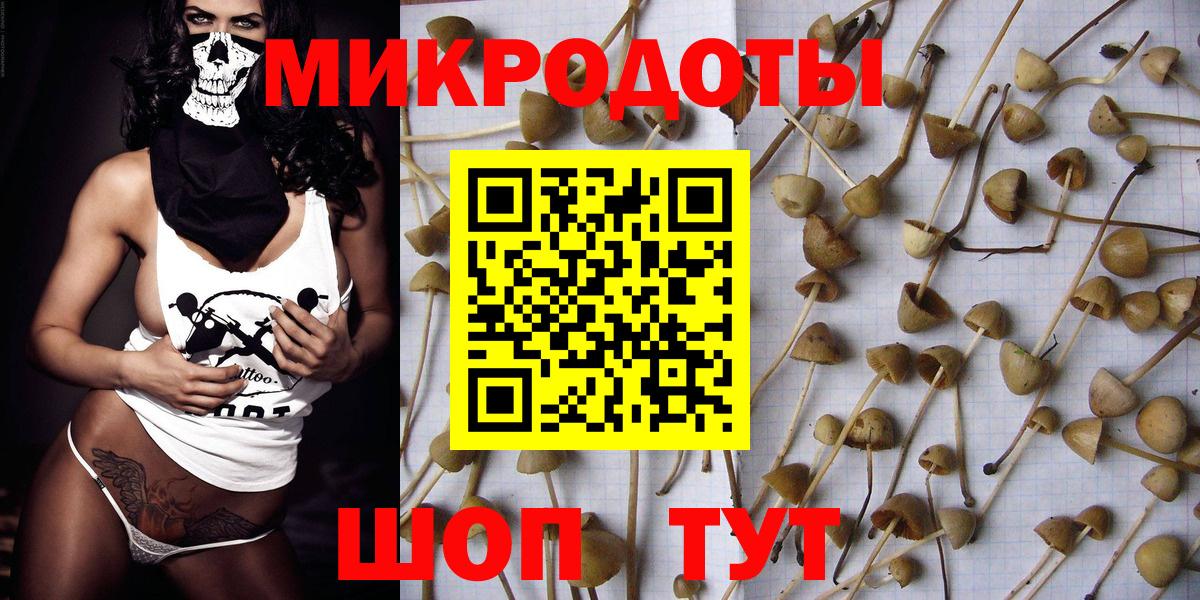 Сегежа  Псилоцибиновые грибы мухоморы  Псилоцибиновые грибы Magic Shrooms  Вход с VPN 