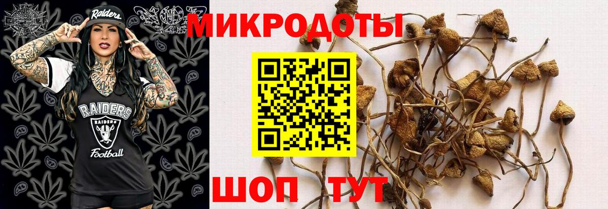 Псилоцибиновые грибы прущие грибы Сегежа