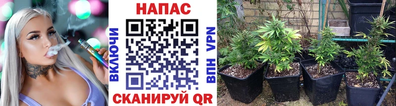 что такое наркотик  Сегежа  Конопля марихуана 